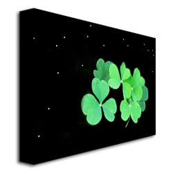 Kathie McCurdy Clover Canvas Art 18 x 24 Image 3