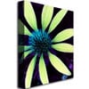 Kathie McCurdy Lime Green Coneflower Canvas Art 18 x 24 Image 2