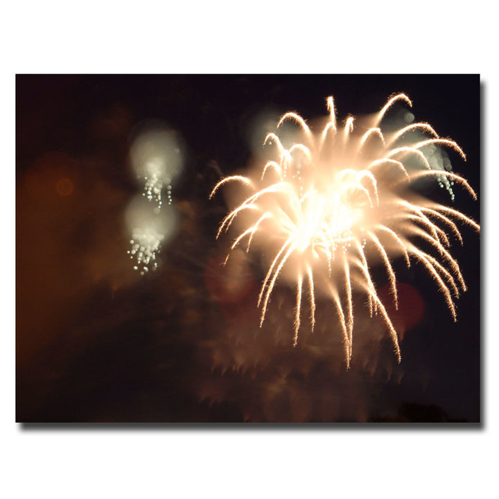 Kurt Shaffer; Abstract Fireworks IV Canvas Art 18 x 24 Image 1