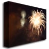 Kurt Shaffer; Abstract Fireworks IV Canvas Art 18 x 24 Image 2