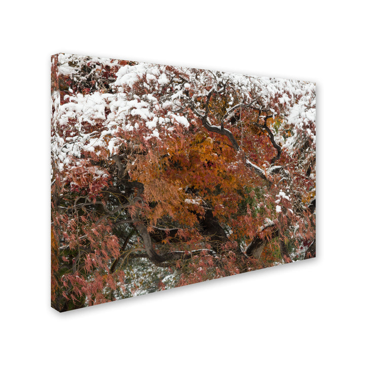 Kurt Shaffer Early Snow Fall Canvas Art 18 x 24 Image 2