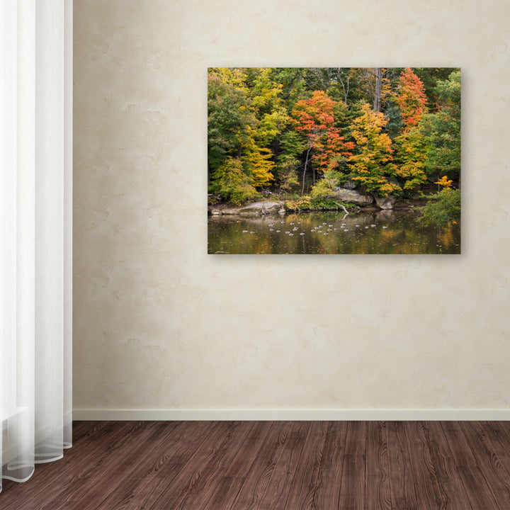 Kurt Shaffer Early Fall Canvas Art 18 x 24 Image 3