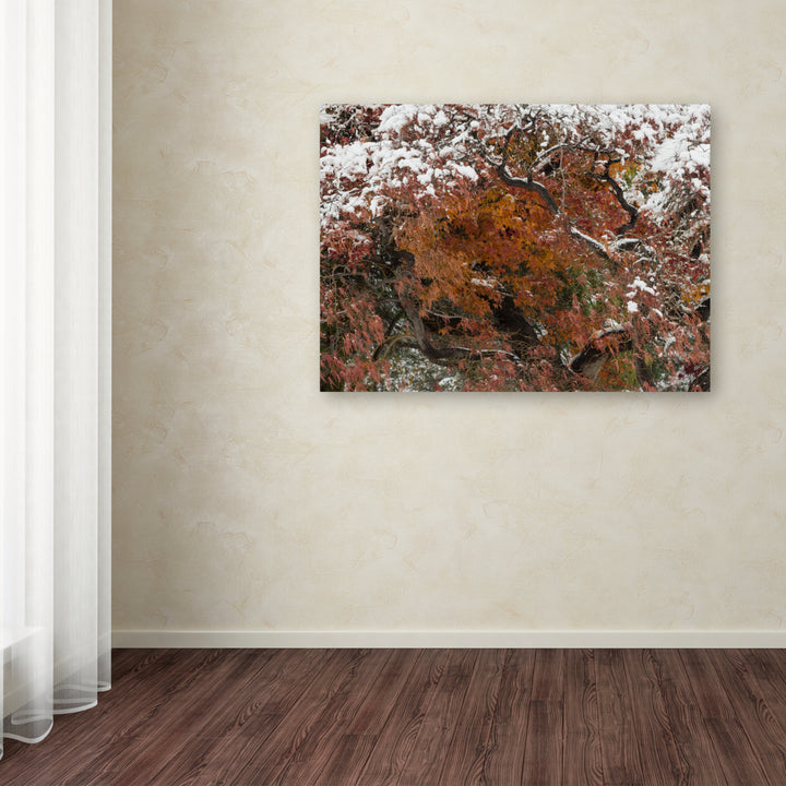 Kurt Shaffer Early Snow Fall Canvas Art 18 x 24 Image 3