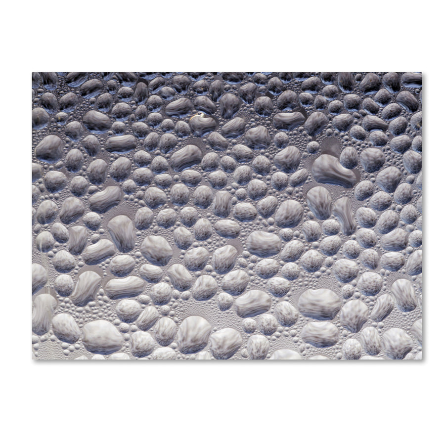 Kurt Shaffer Condensation on a Cold Window 2 Canvas Art 18 x 24 Image 1