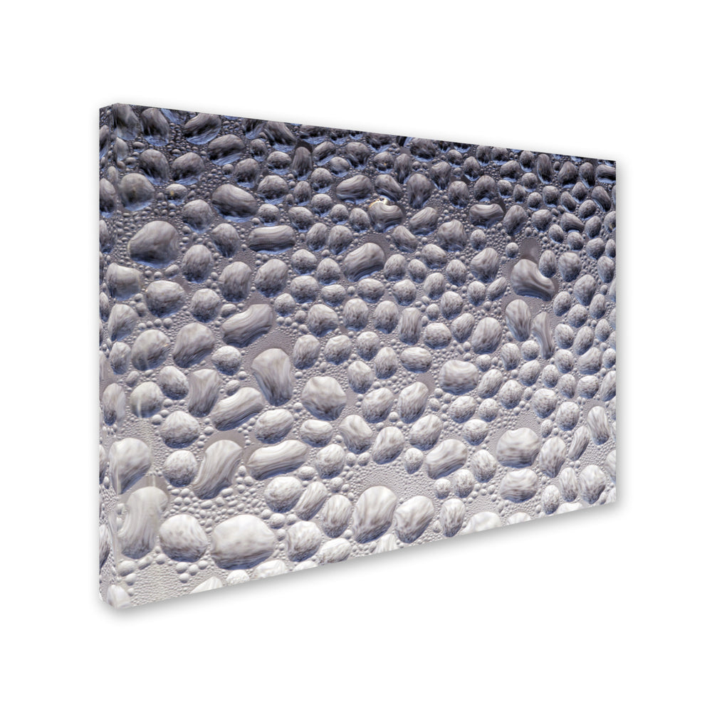 Kurt Shaffer Condensation on a Cold Window 2 Canvas Art 18 x 24 Image 2