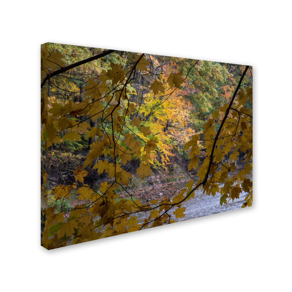 Kurt Shaffer Brilliant Ohio Autumn Canvas Art 18 x 24 Image 2