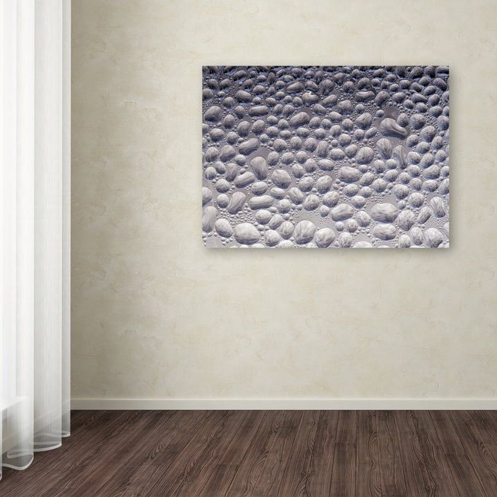 Kurt Shaffer Condensation on a Cold Window 2 Canvas Art 18 x 24 Image 3