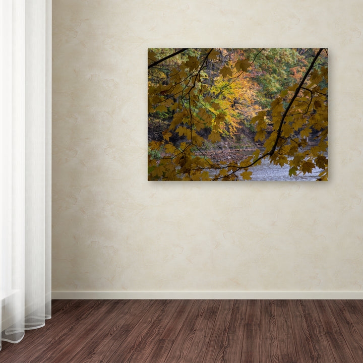 Kurt Shaffer Brilliant Ohio Autumn Canvas Art 18 x 24 Image 3
