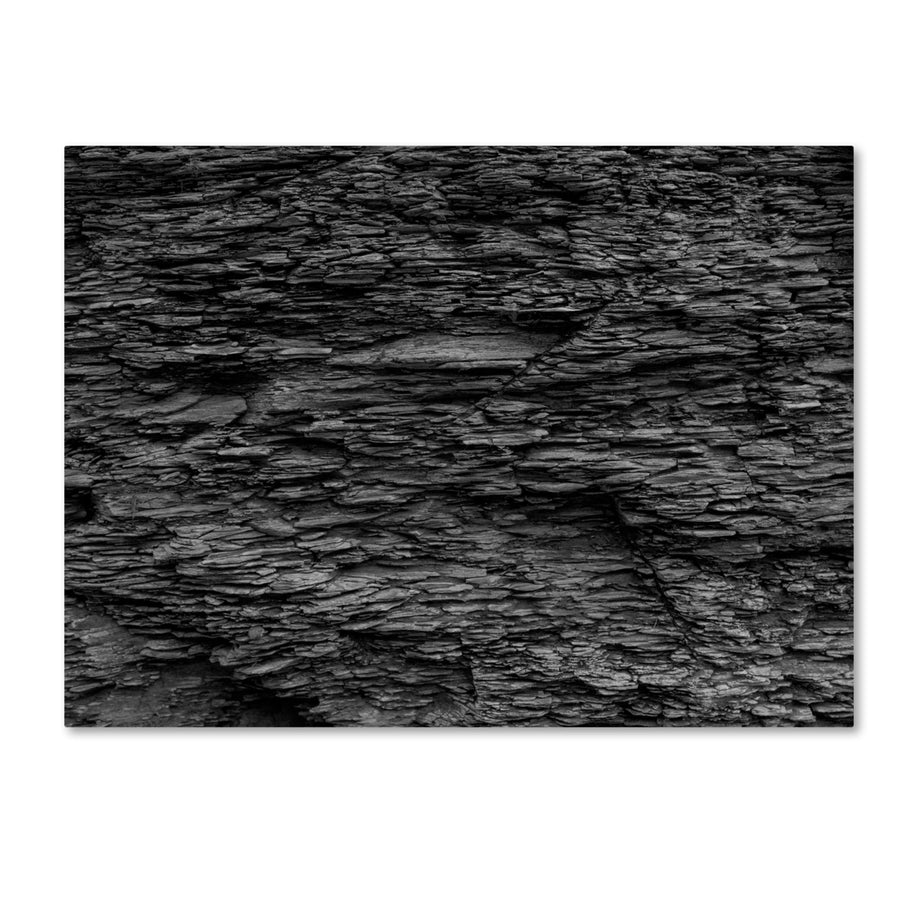Kurt Shaffer Shale Abstract in Black and White Canvas Art 18 x 24 Image 1