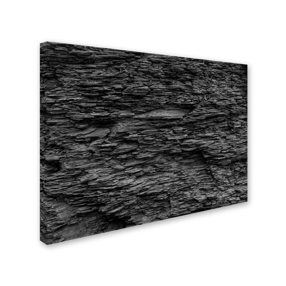 Kurt Shaffer Shale Abstract in Black and White Canvas Art 18 x 24 Image 2