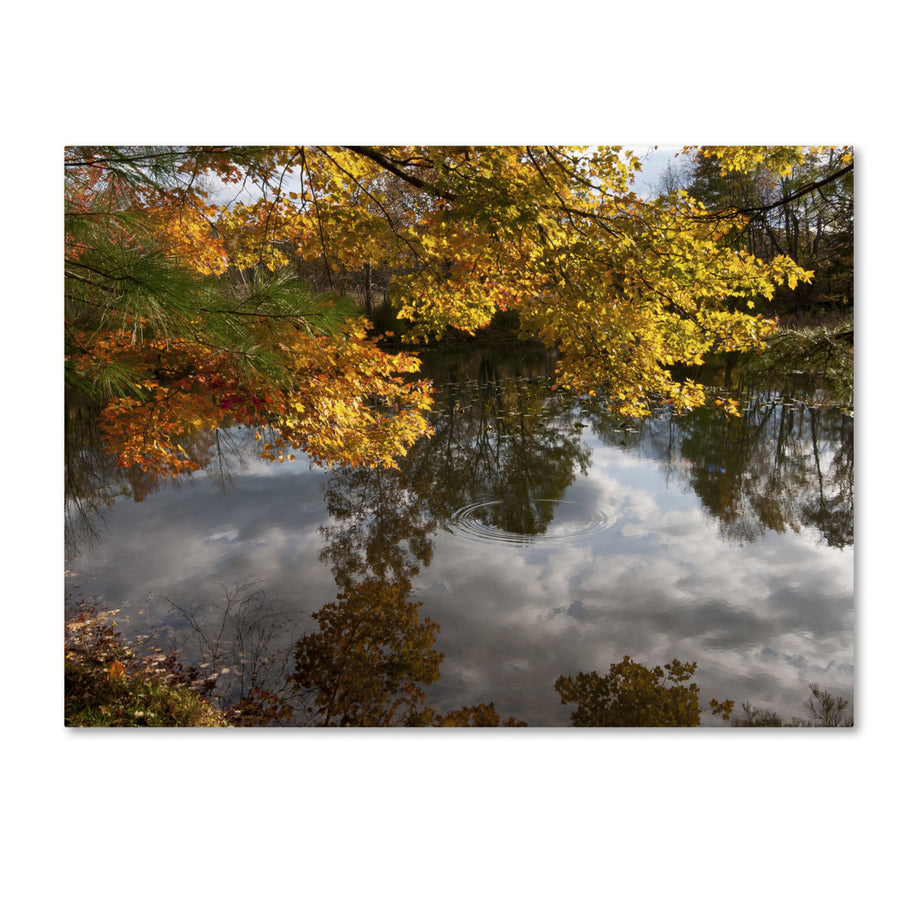 Kurt Shaffer Kendal Lake Autumn Reflection Canvas Art 18 x 24 Image 1