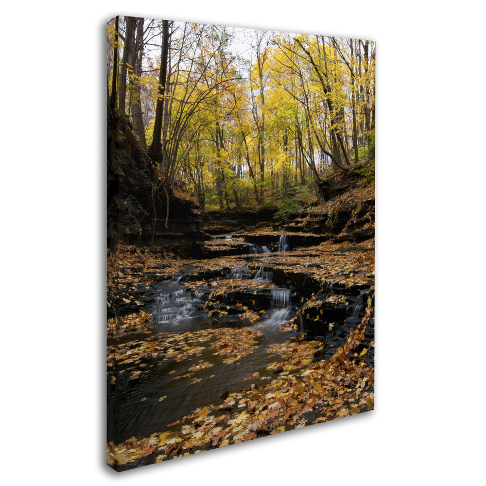 Kurt Shaffer Lakeview Autumn Falls 3 Canvas Art 18 x 24 Image 2