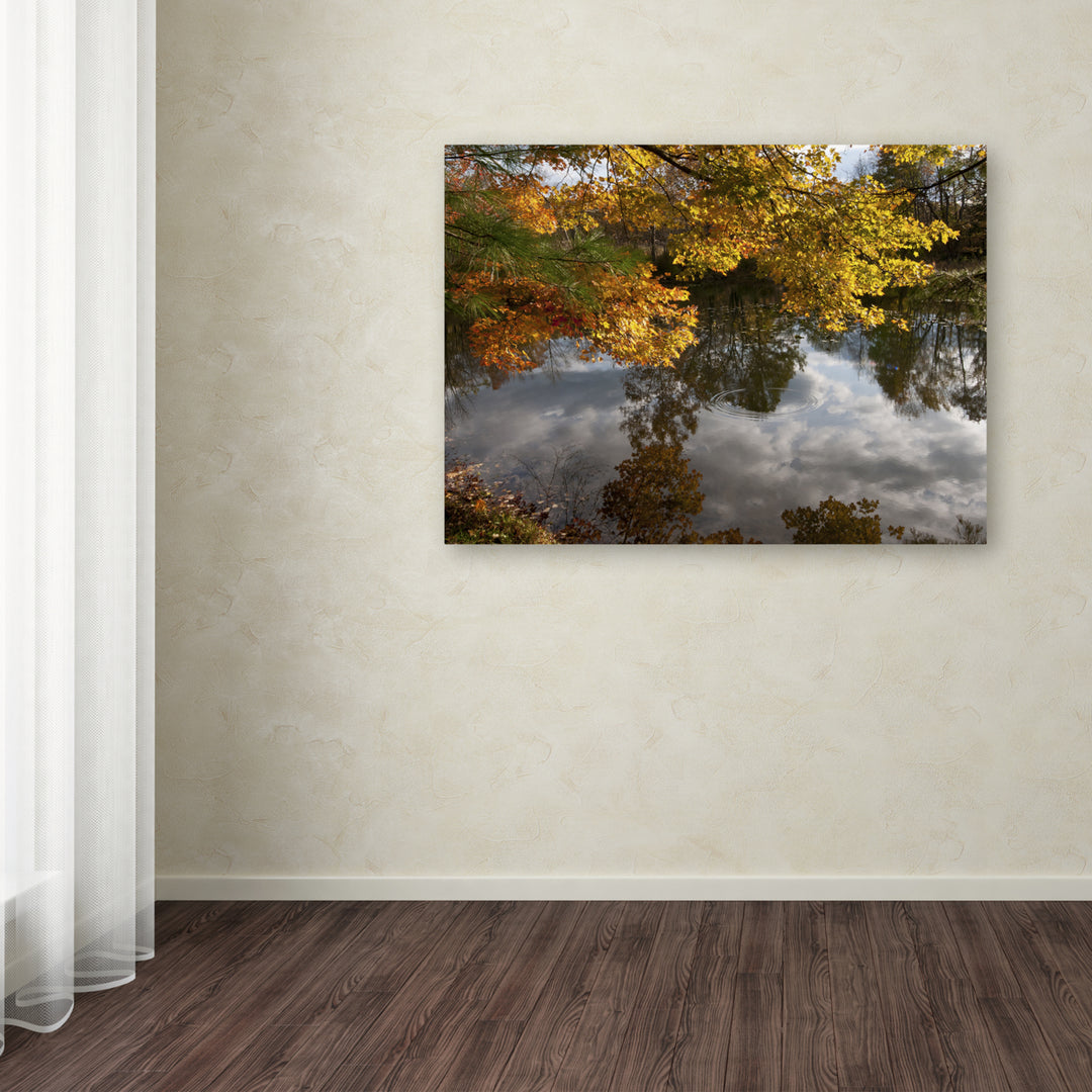 Kurt Shaffer Kendal Lake Autumn Reflection Canvas Art 18 x 24 Image 3