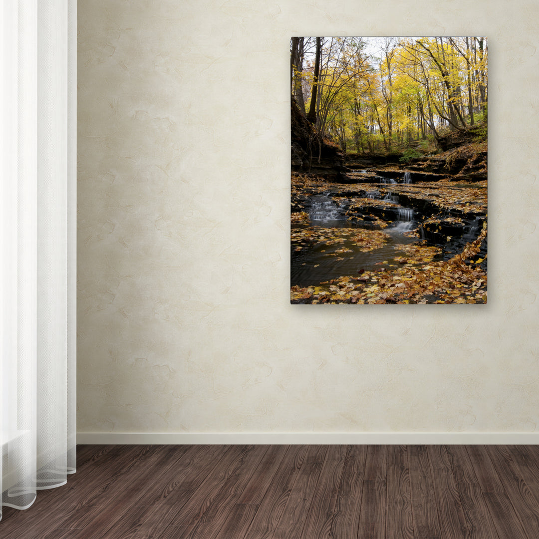 Kurt Shaffer Lakeview Autumn Falls 3 Canvas Art 18 x 24 Image 3