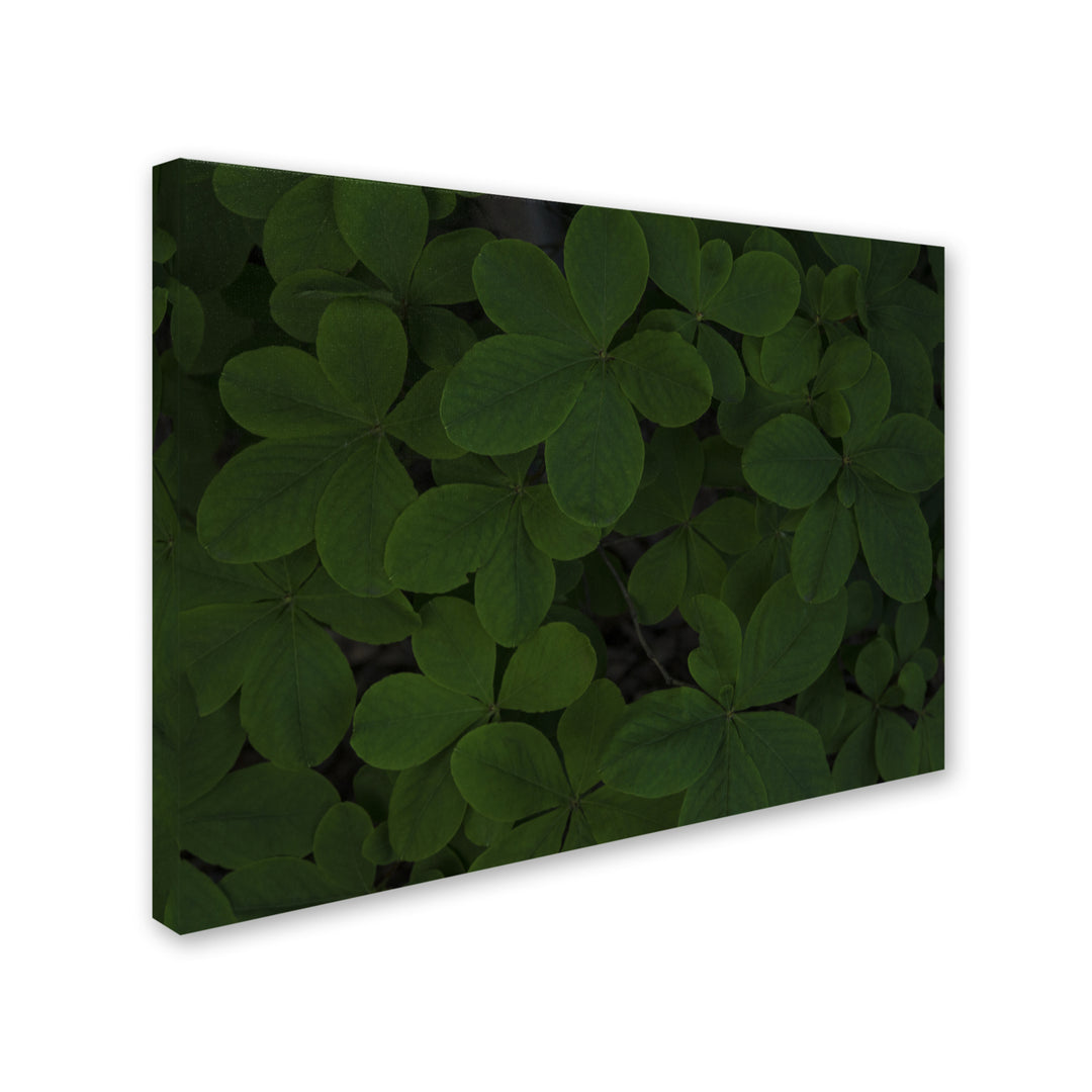 Kurt Shaffer Green Leaf Abstract Canvas Art 18 x 24 Image 2