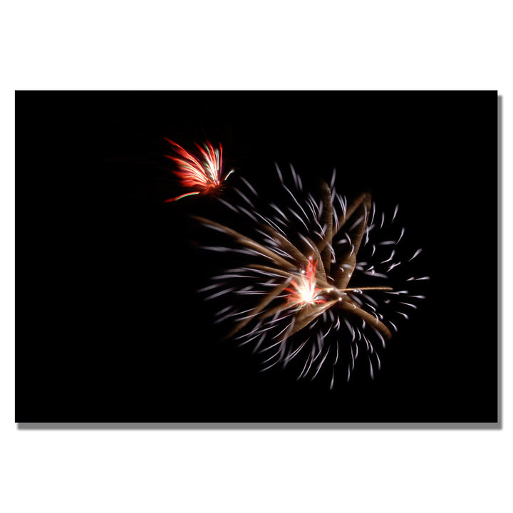 Kurt Shaffer Abstract Fireworks 32 Canvas Art 18 x 24 Image 1