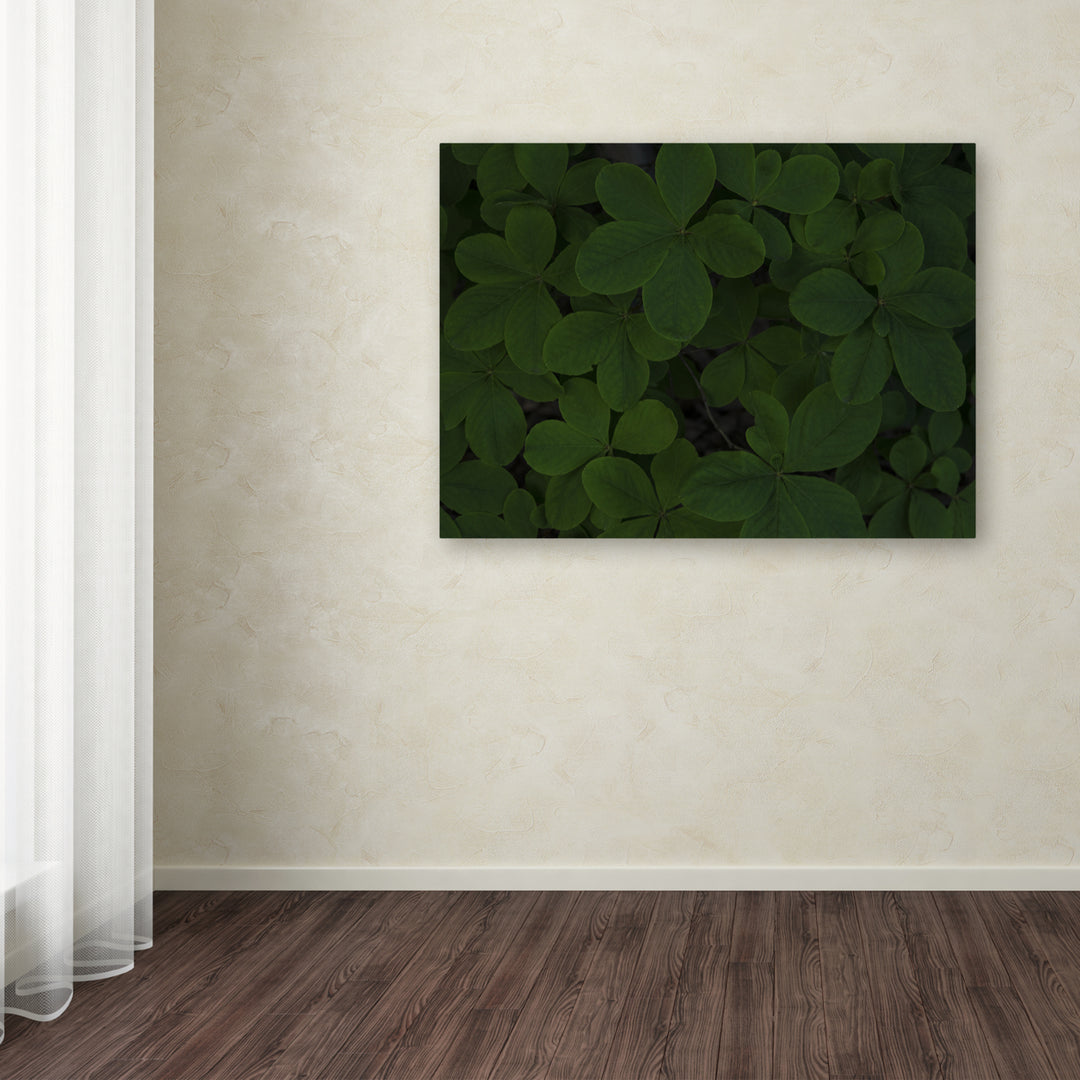 Kurt Shaffer Green Leaf Abstract Canvas Art 18 x 24 Image 3