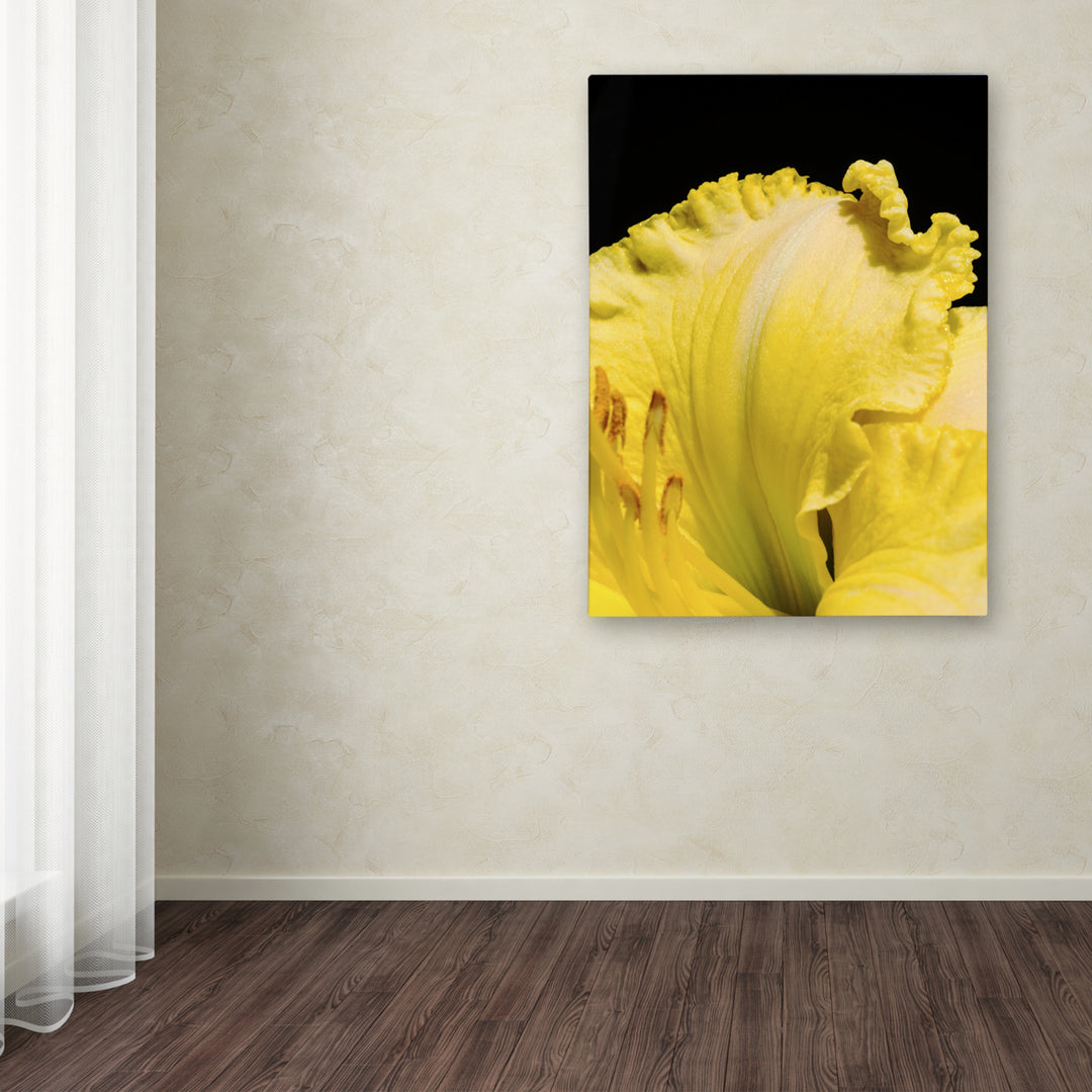 Kurt Shaffer Day Lily Abstract Canvas Art 18 x 24 Image 3