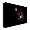 Kurt Shaffer Abstract Fireworks 32 Canvas Art 18 x 24 Image 2