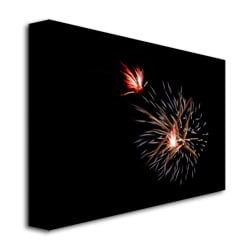 Kurt Shaffer Abstract Fireworks 32 Canvas Art 18 x 24 Image 3