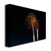 Kurt Shaffer Abstract Fireworks 37 Canvas Art 18 x 24 Image 2