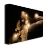 Kurt Shaffer Abstract Fireworks 34 Canvas Art 18 x 24 Image 2