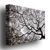 Kurt Shaffer Japanese Maple Spring Abstract II Canvas Art 18 x 24 Image 2