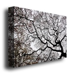 Kurt Shaffer Japanese Maple Spring Abstract II Canvas Art 18 x 24 Image 3