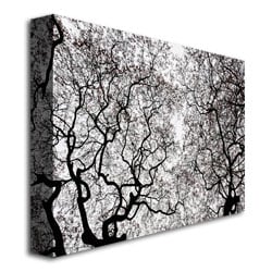 Kurt Shaffer Japanese Maple Spring Abstract Canvas Art 18 x 24 Image 3