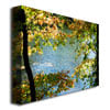 Kurt Shaffer Early Fall Along the River Canvas Art 18 x 24 Image 2