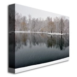 Kurt Shaffer Snowy Pond Canvas Art 18 x 24 Image 3