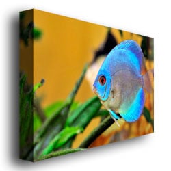 Kurt Shaffer One Blue Fish Canvas Art 18 x 24 Image 3