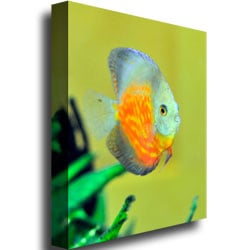 Kurt Shaffer Tropical Fish Golden Canvas Art 18 x 24 Image 3