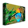 Kurt Shaffer Two Tropical Fish II Canvas Art 18 x 24 Image 2