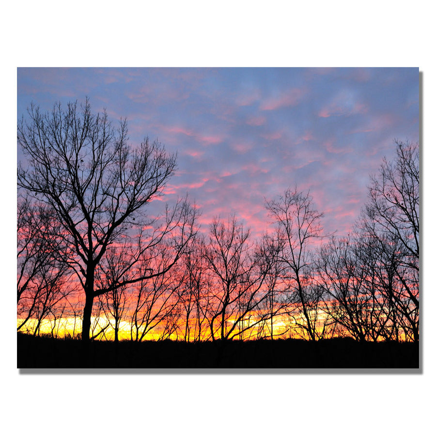Kurt Shaffer Winter Sunset Canvas Art 18 x 24 Image 1