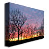 Kurt Shaffer Winter Sunset Canvas Art 18 x 24 Image 2