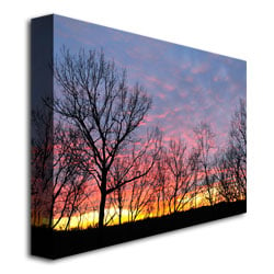 Kurt Shaffer Winter Sunset Canvas Art 18 x 24 Image 3