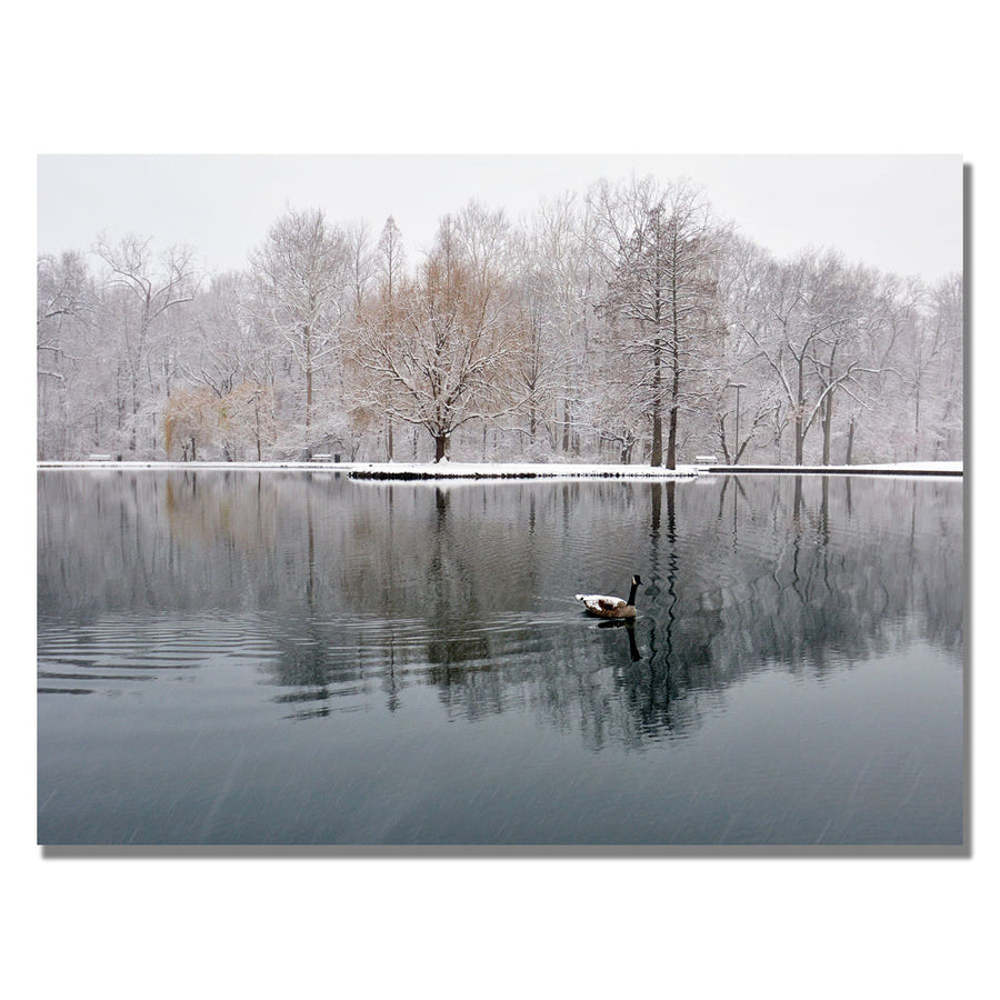 Kurt Shaffer Winter Goose Canvas Art 18 x 24 Image 1