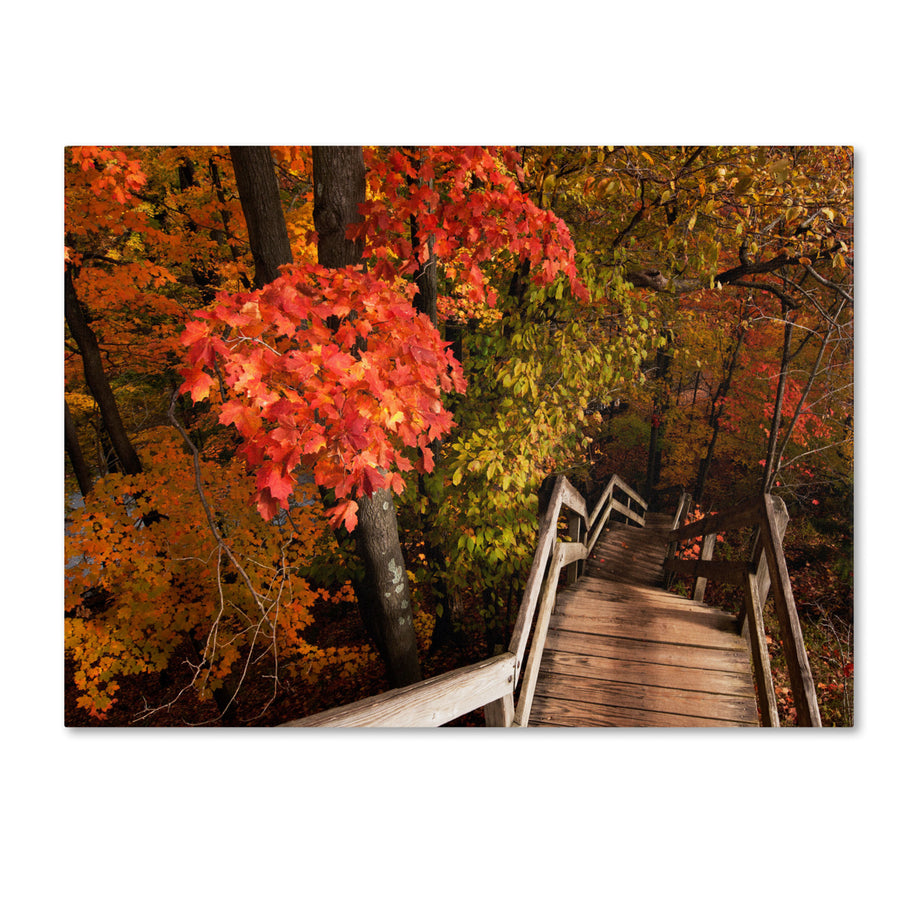 Kurt Shaffer Brilliant Autumn Stairway Canvas Art 18 x 24 Image 1