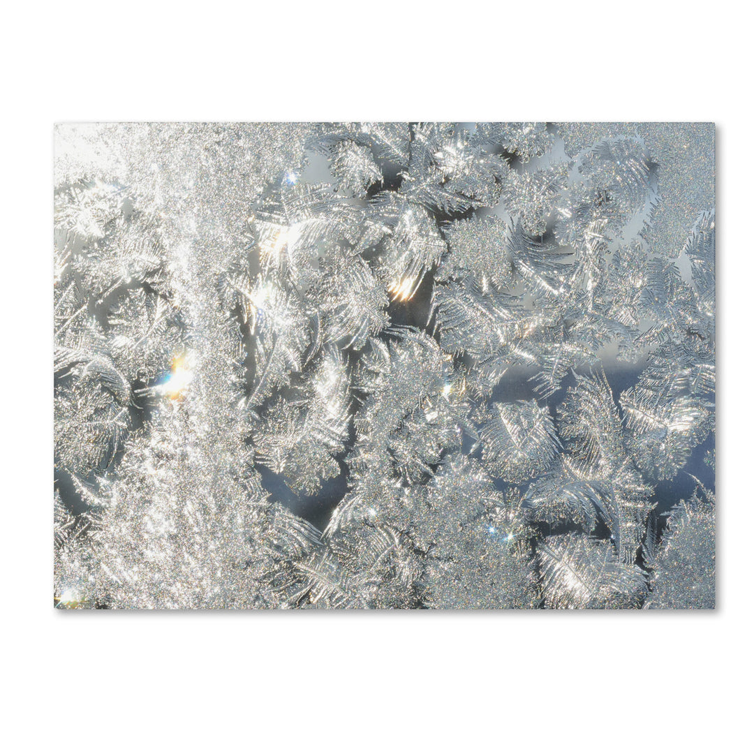 Kurt Shaffer Frost Pattern in the Sun Canvas Art 18 x 24 Image 1