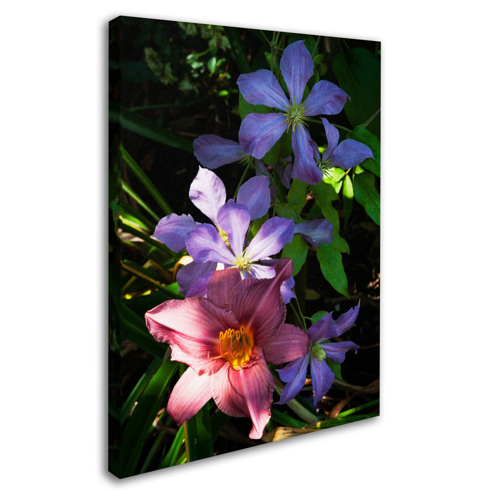 Kurt Shaffer Clematis and Lily Canvas Art 18 x 24 Image 2