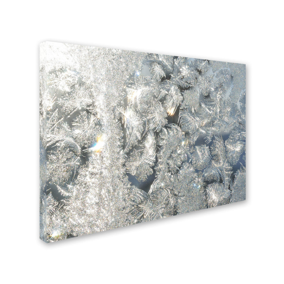 Kurt Shaffer Frost Pattern in the Sun Canvas Art 18 x 24 Image 2