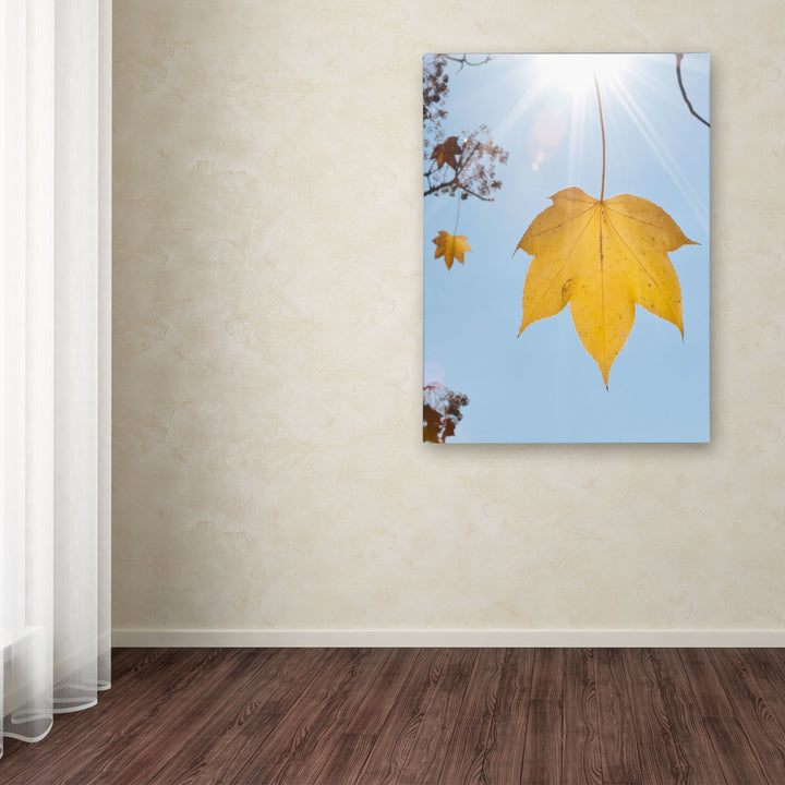 Kurt Shaffer Autumn Inspiration Canvas Art 18 x 24 Image 3