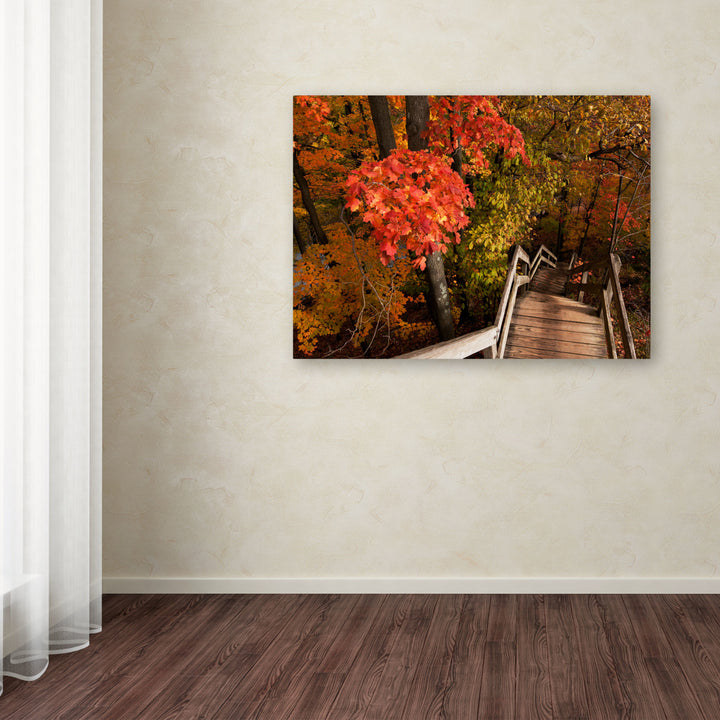 Kurt Shaffer Brilliant Autumn Stairway Canvas Art 18 x 24 Image 3