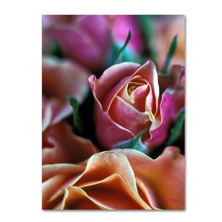 Kathy Yates Mauve and Peach Roses Canvas Art 18 x 24 Image 1