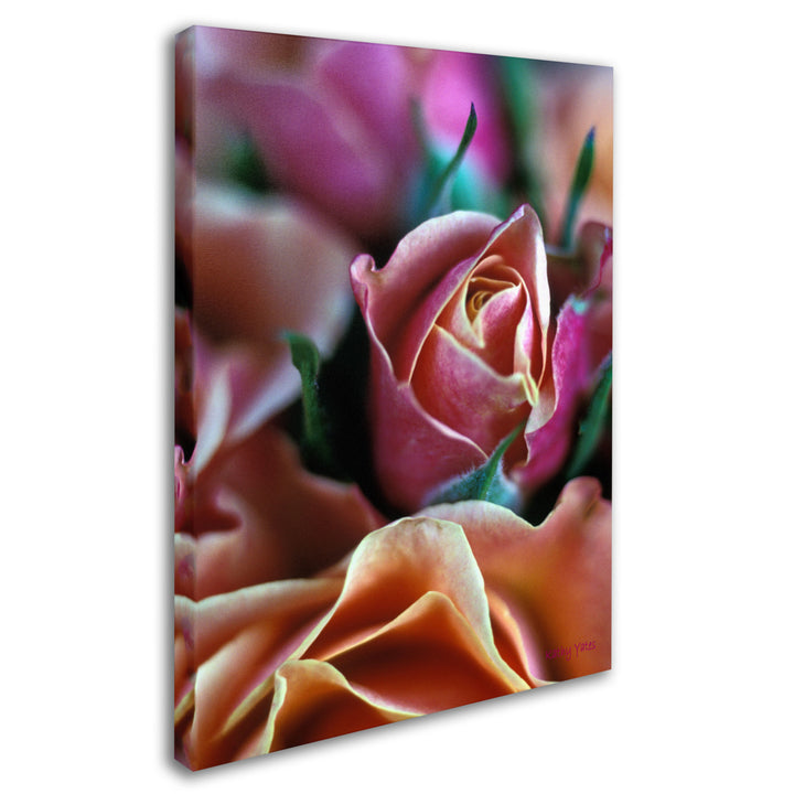 Kathy Yates Mauve and Peach Roses Canvas Art 18 x 24 Image 2