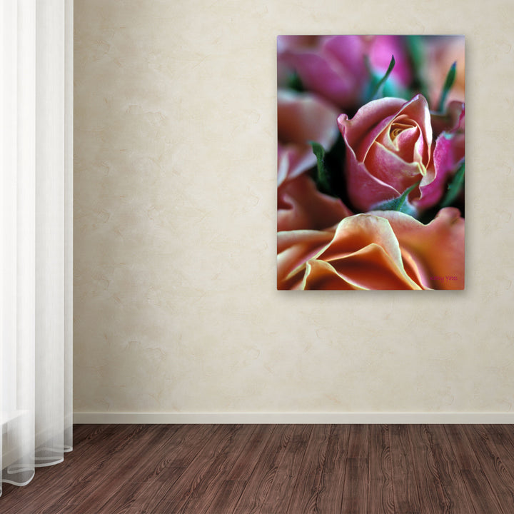 Kathy Yates Mauve and Peach Roses Canvas Art 18 x 24 Image 3