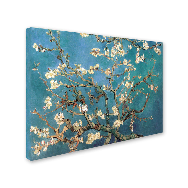 Vincent van Gogh Almond Blossoms Canvas Art 18 x 24 Image 2