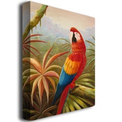 Rio Amazon Rain Forest Canvas Art 18 x 24 Image 3