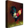 Rio Rooster Canvas Art 18 x 24 Image 2
